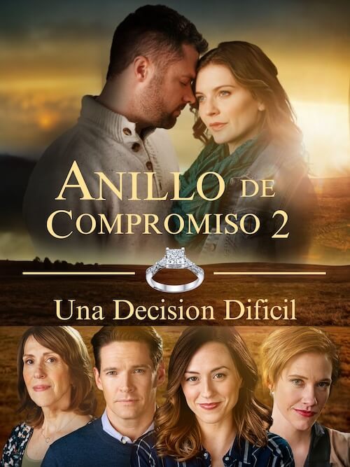 anillo 2